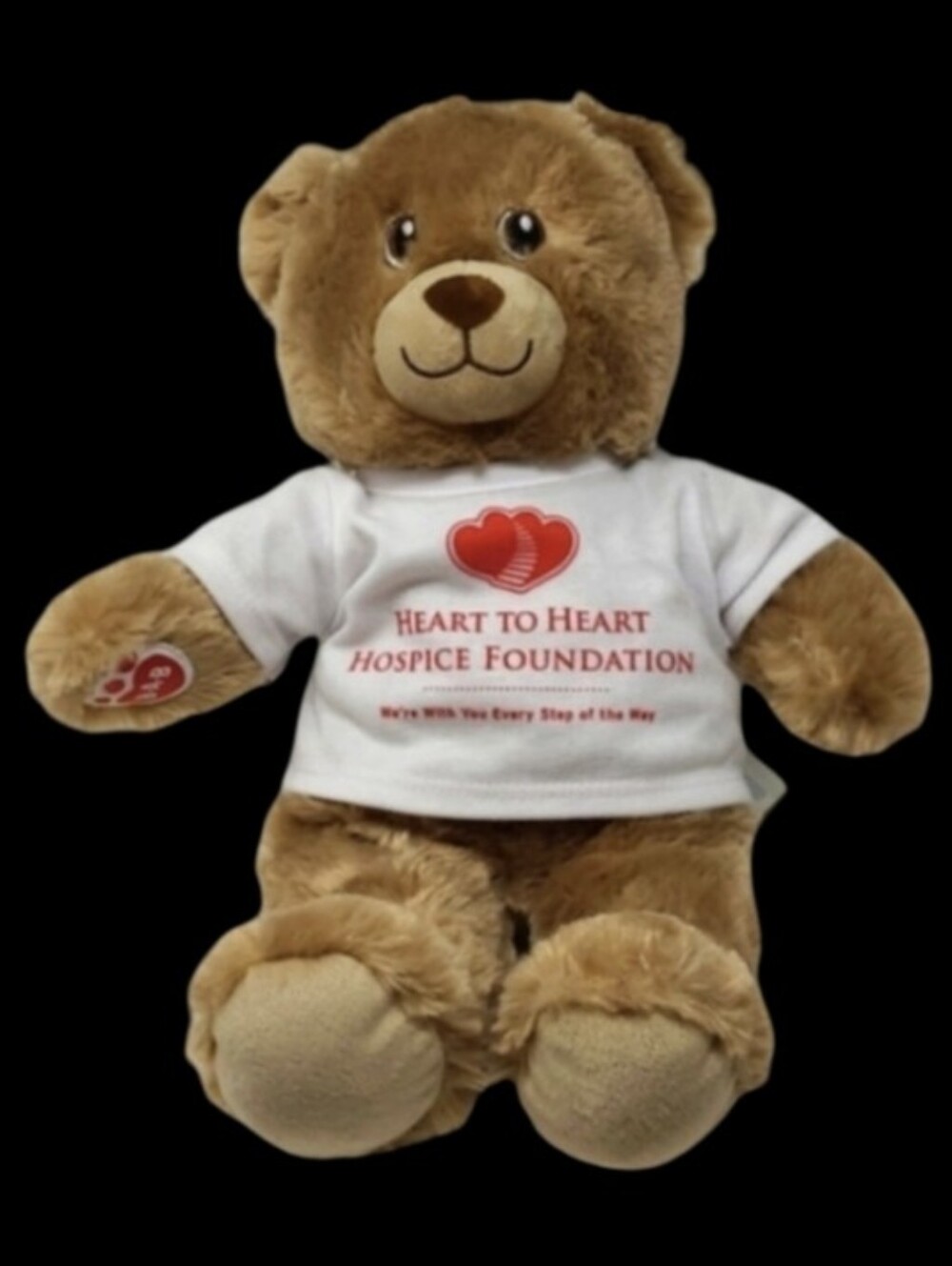 BUILD-A-BEAR WORKSHOP CLASSIC LT BROWN TEDDY BEAR HOSPICE FOUNDATION T-S…